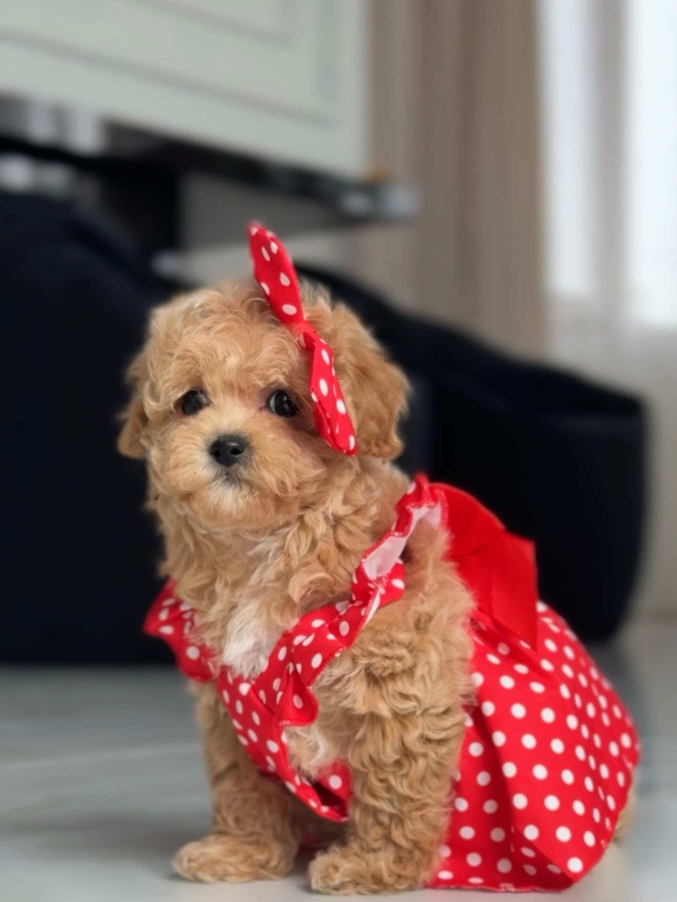 Lisa seated in a red polka-dot dress, seen from a slight side angle