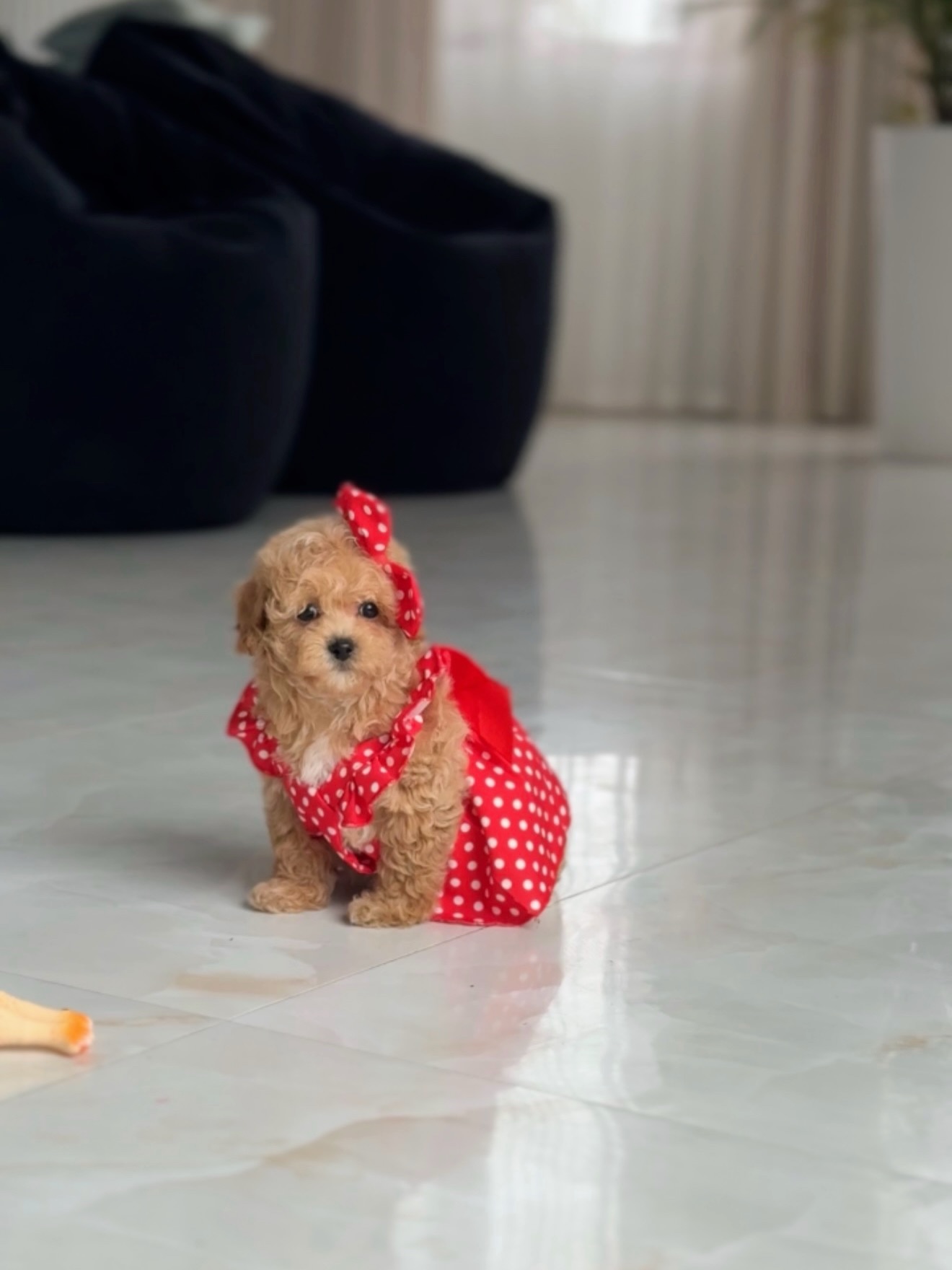 Lisa sitting on a bright floor in a red polka-dot outfit