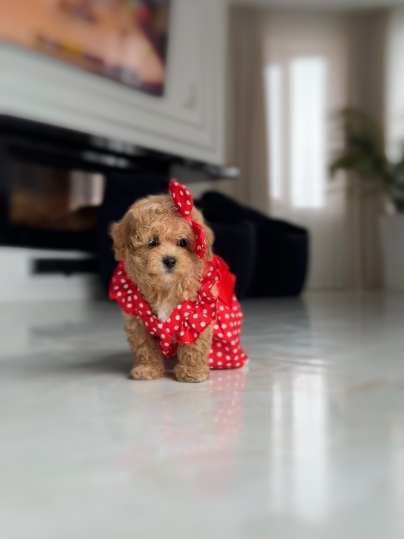 Lisa standing in a red polka-dot outfit in a bright room